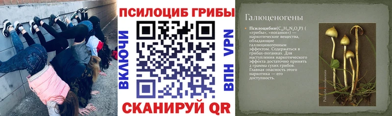 Псилоцибиновые грибы GOLDEN TEACHER  магазин продажи наркотиков  Теберда 